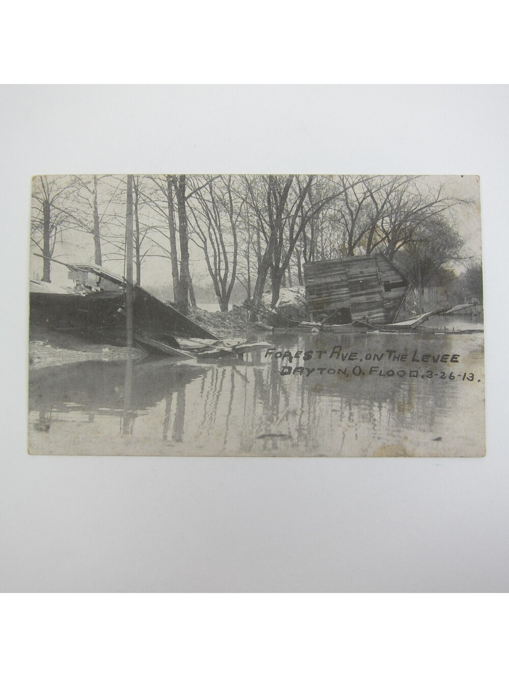 Postcard 1913 Dayton Ohio Flood Forest Avenue On Levee Photo Antique Litho Print